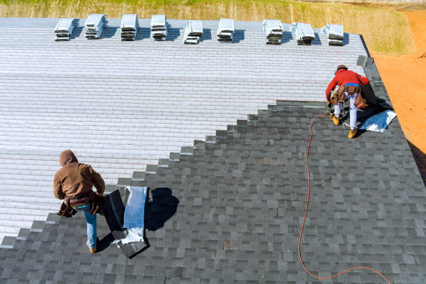 Best Metal Roofing Contractor  in Sioux City, IA